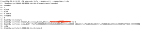 udev Command Usage and Examples